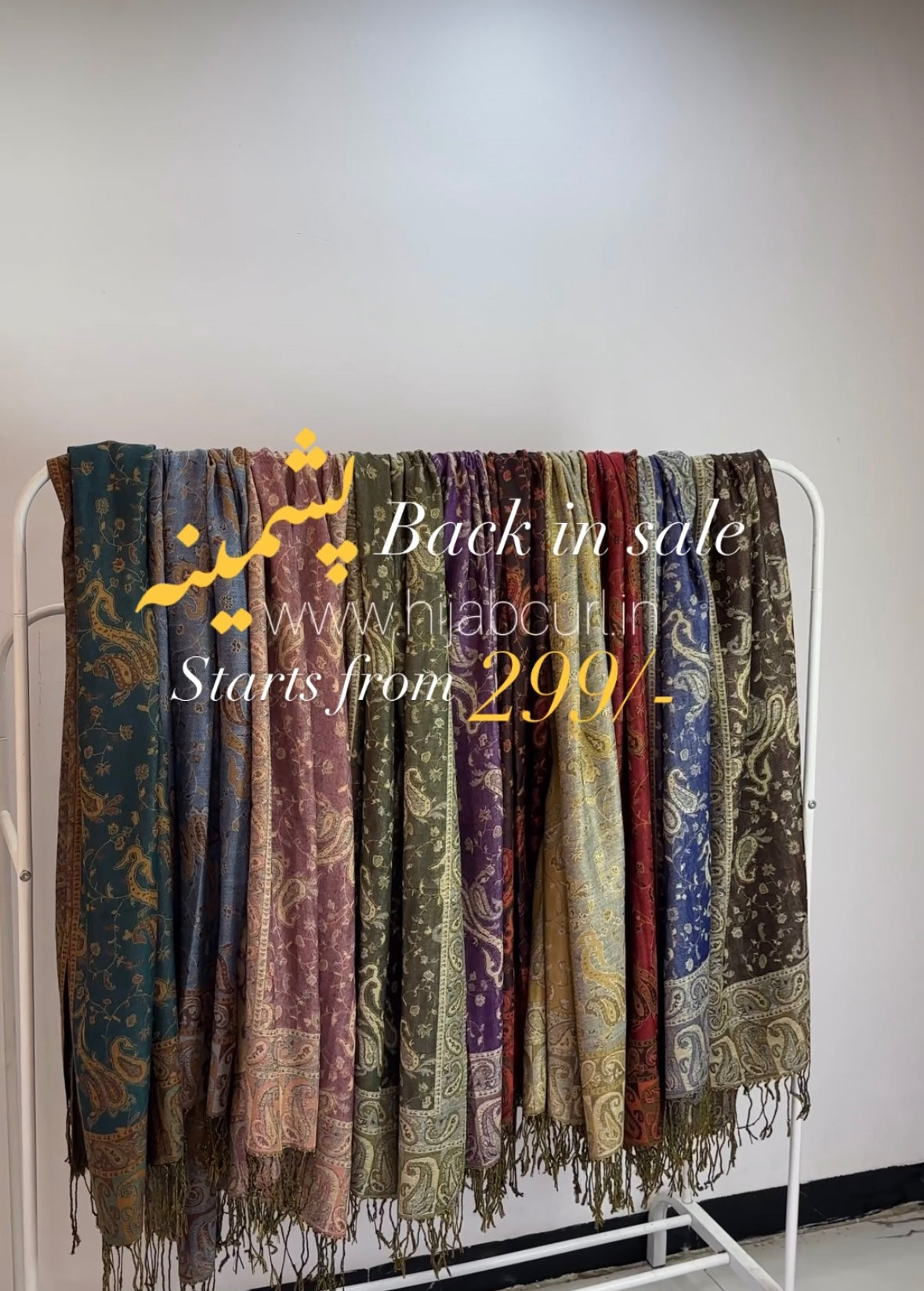 Premium Pashmina Shawl