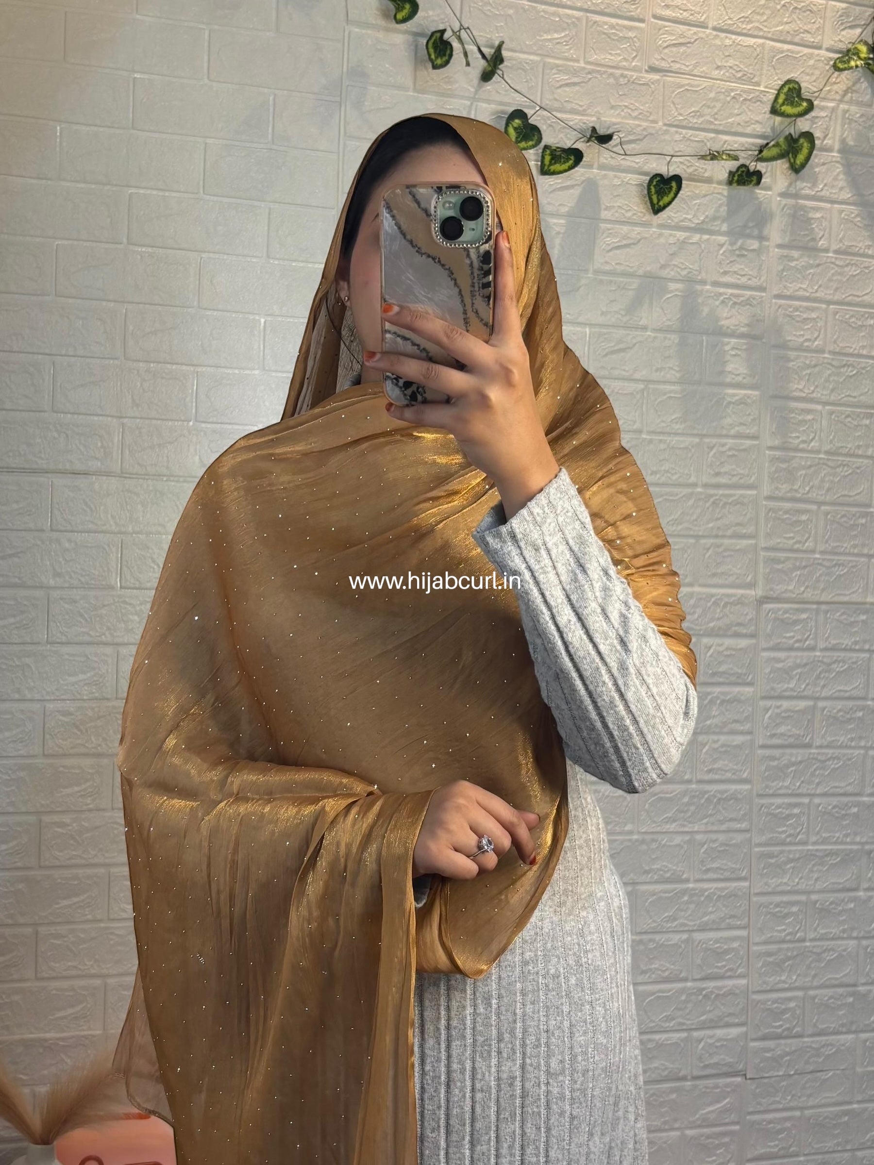 Silk Tissue Organza Stone Work Hijab